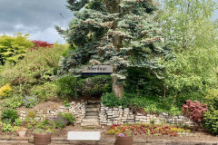 image12